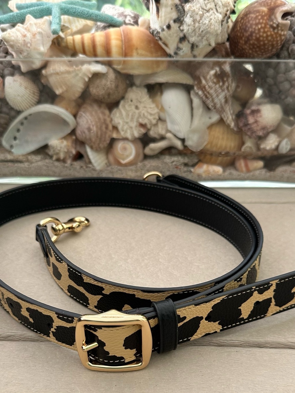 Coach Leopard Print Adjustable Strap in Black and Tan with Gold Hardware - Picture 16 of 16